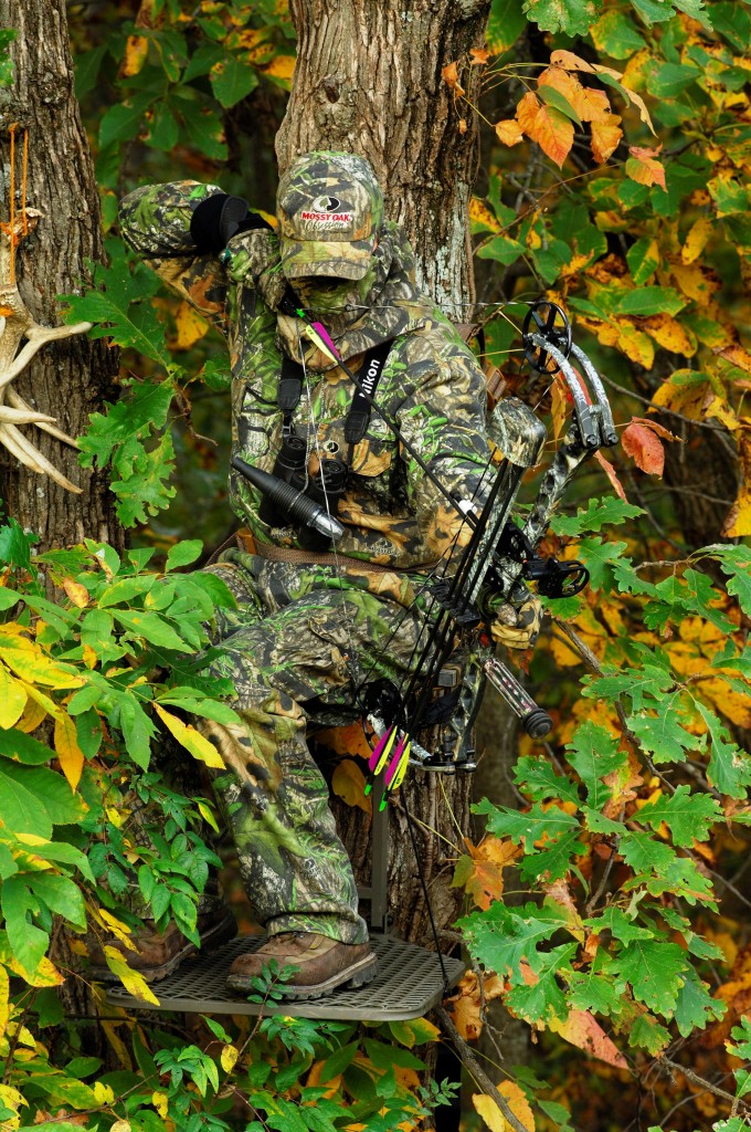 How To Shoot A Buck With Your Bow Big Deer