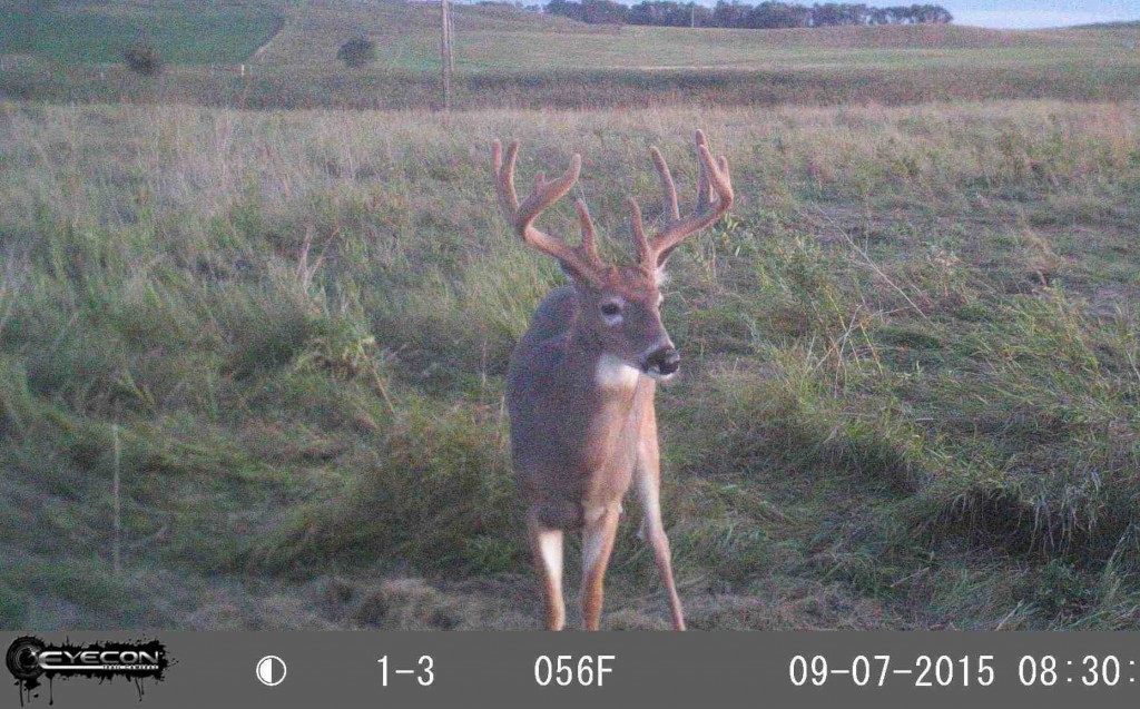BIG DEER Field Report North Dakota Archery Buck Big Deer