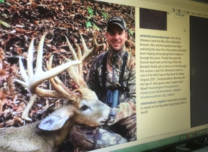 West Virginia Monster 200 Class Bow Buck Big Deer