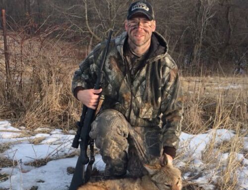 Beginner’s Guide To Coyote Hunting