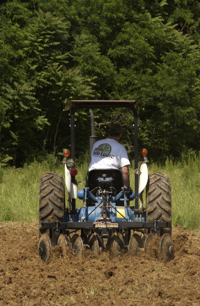 5 Tips for Fall Deer Food Plots Big Deer