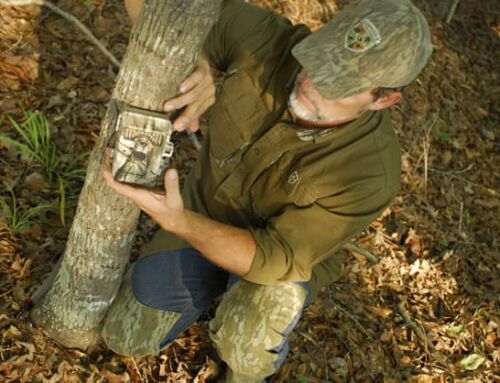BIG BREAKING NEWS: Kansas Bans Trail Cameras on Public Land