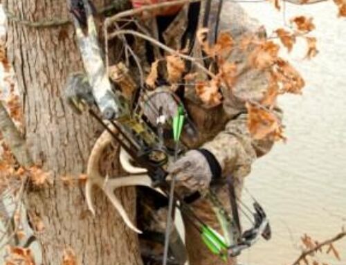 5 Top Bow Stands for Deer