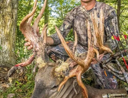 Why Some Bucks Grow Non-Typical Antlers