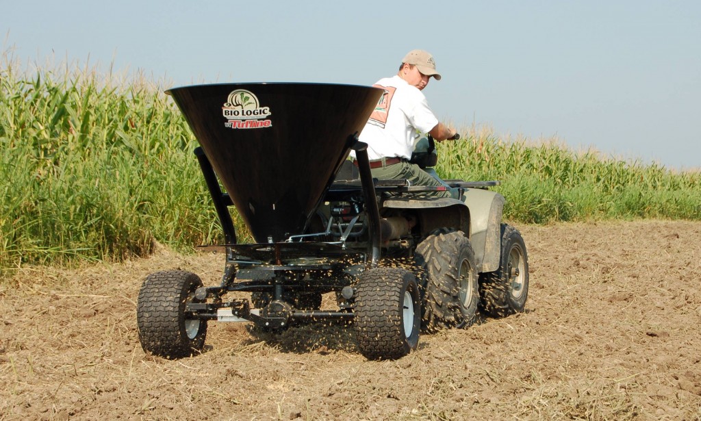 What to Plant in Deer Food Plots Big Deer