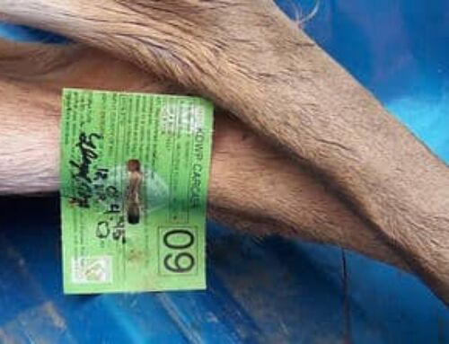 How Not to Get a Game Warden’s Ticket!