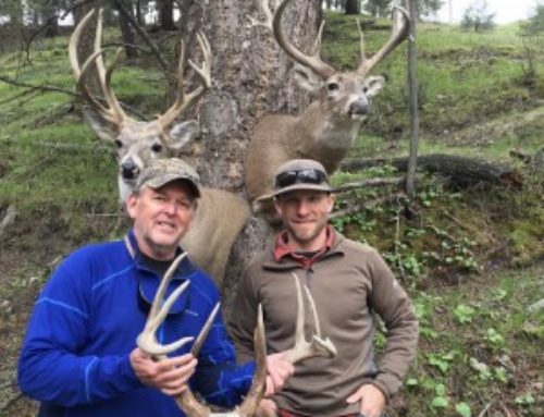 Bowhunting Tactics for the Suburbs