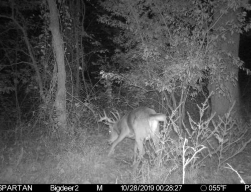 How to Beat “Lockdown”