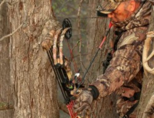 How Many Tree Stands do You Need to Hunt Deer?