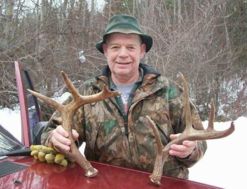 Hunt Sheds In Deer Bedding Areas
