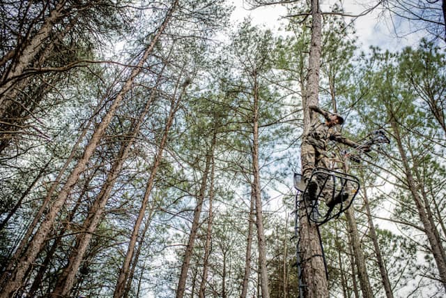 realtree media 2021 1246 Bowhunting: How Far to Shoot A Deer