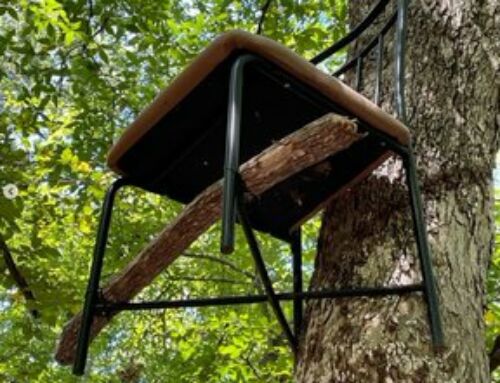 Kitchen Chair Tree Stand in Oklahoma