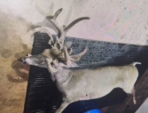 Missouri Crossbow Hunter Bags 18-Point Doe