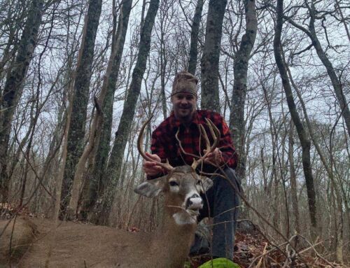 3 Stands for Hunting Thick Cover in the Deer Rut