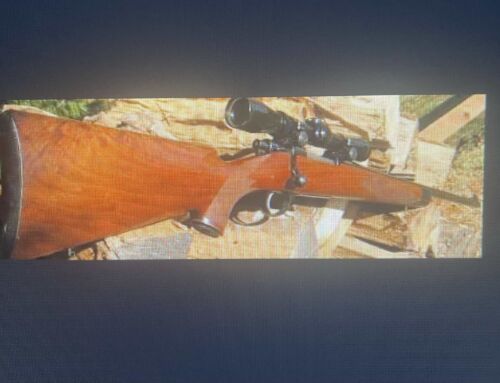 Is the .243 Enough Gun for Deer?